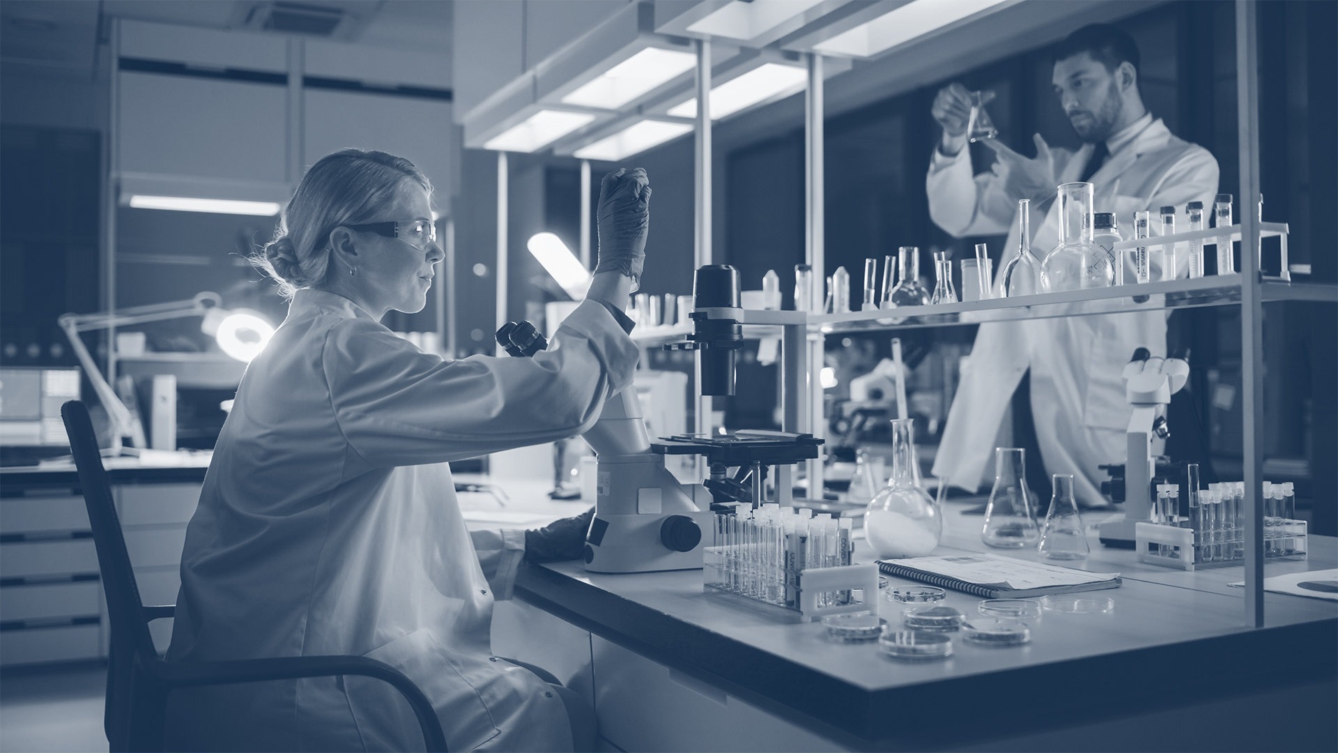 Life Sciences and Pharmaceuticals A project manager's perspective BIP Consulting